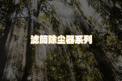 滤筒除尘器系列